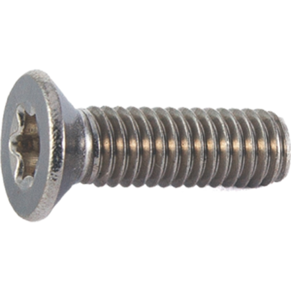 ISO14581 TX HAVŞA TORKS VİDA M1,6 / M2 / M2,5