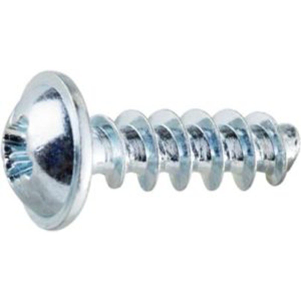 Plastik Diş Metal Vida Geniş Başlı, Yıldız Anahtar, RYSB