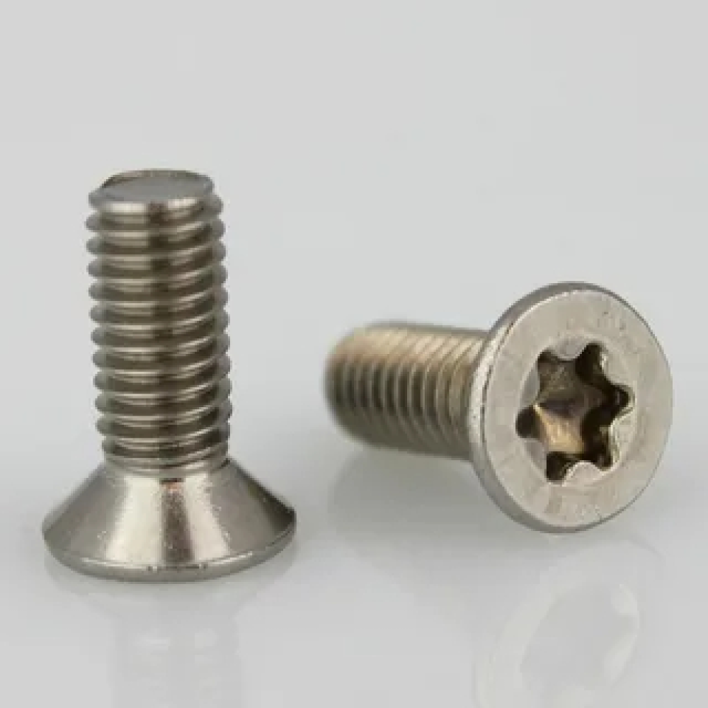 TORX HB HAVŞA BAŞLI VİDA DIN965TX